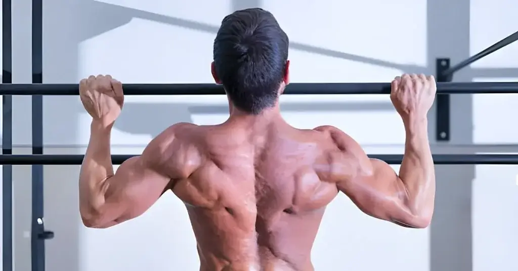 How To Build Back Muscle